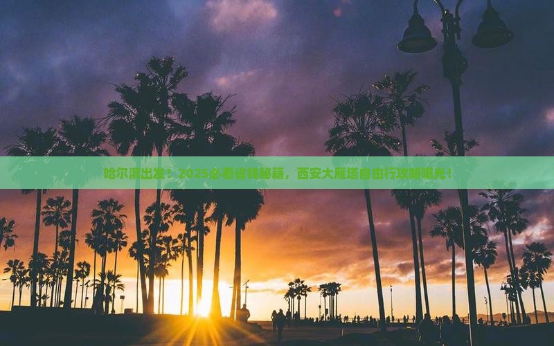 哈尔滨去西安大雁塔自由行