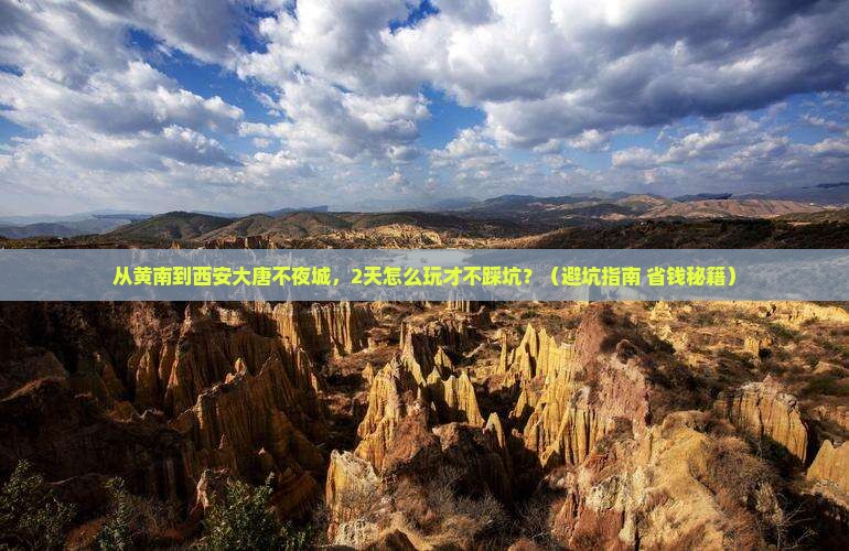 黄南去西安大唐不夜城二日游