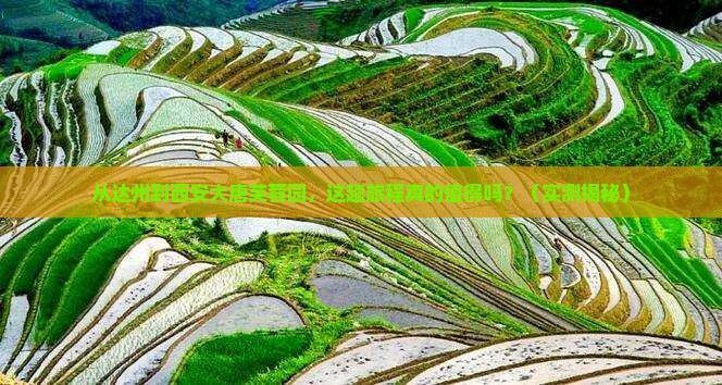 达州到西安大唐芙蓉园攻略
