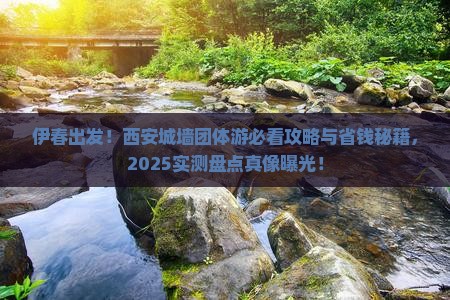 伊春去西安城墙团体旅游