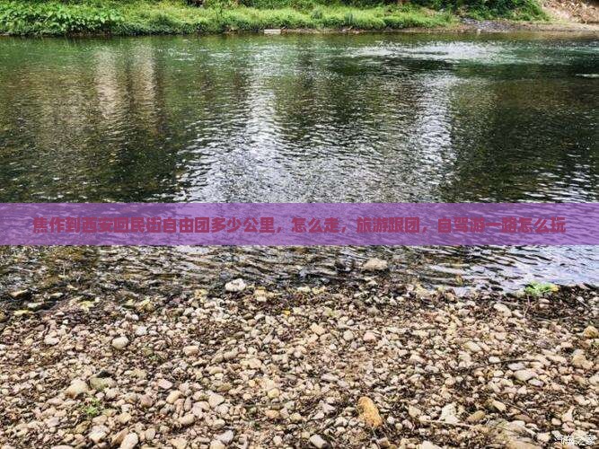 焦作到西安回民街自由团