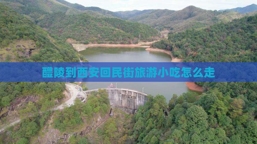 醴陵到西安回民街旅游小吃