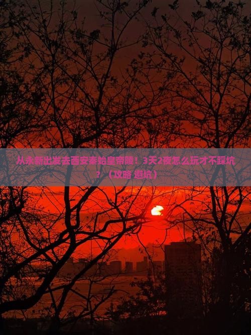 永新去西安秦始皇帝陵博物院攻略