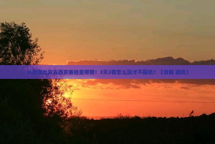 永新去西安秦始皇帝陵博物院攻略