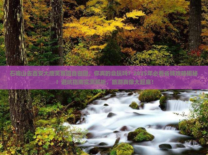 石嘴山去西安大唐芙蓉园自由团