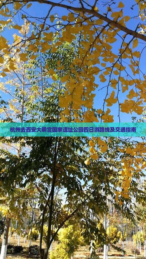 杭州去西安大明宫国家遗址公园四日游