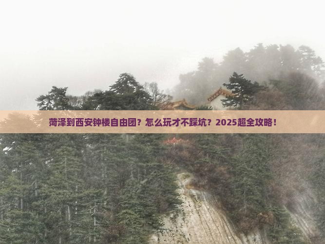 菏泽到西安钟楼自由团