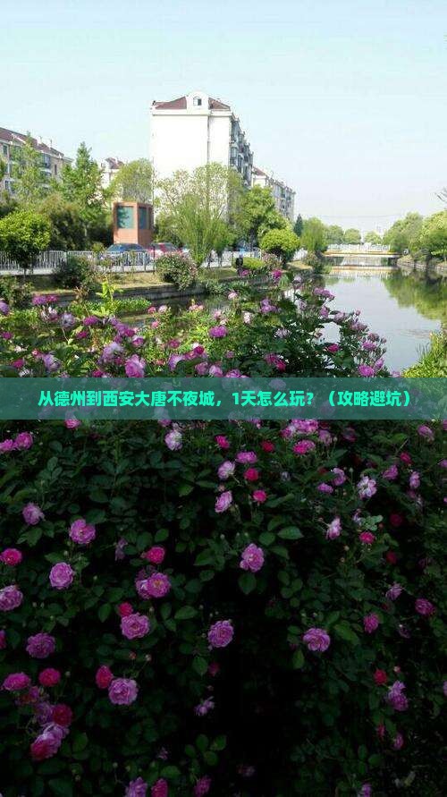 德州到西安大唐不夜城一日游