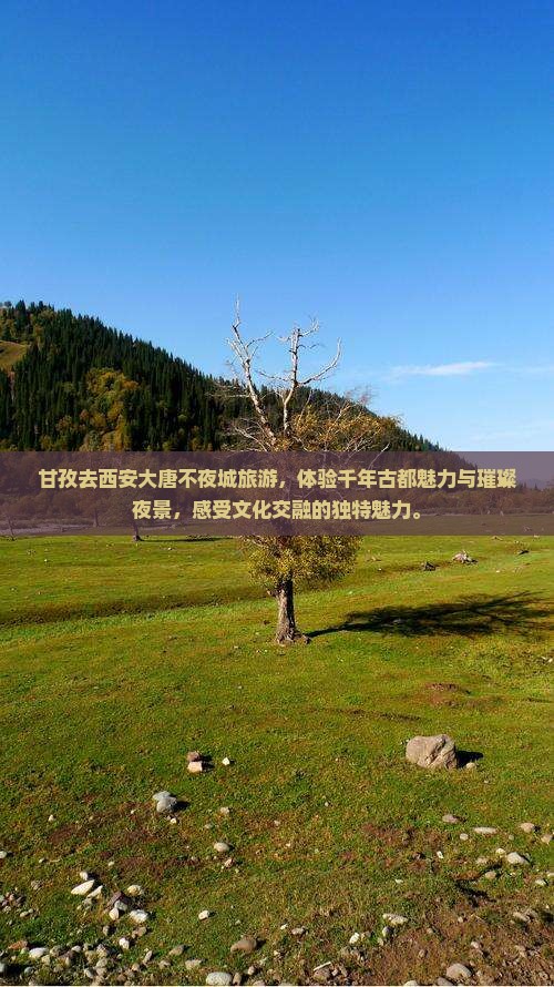 甘孜去西安大唐不夜城旅游