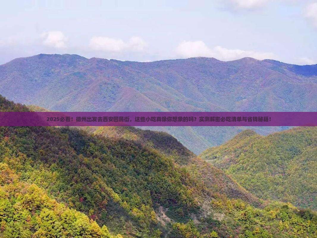 德州到西安回民街旅游小吃