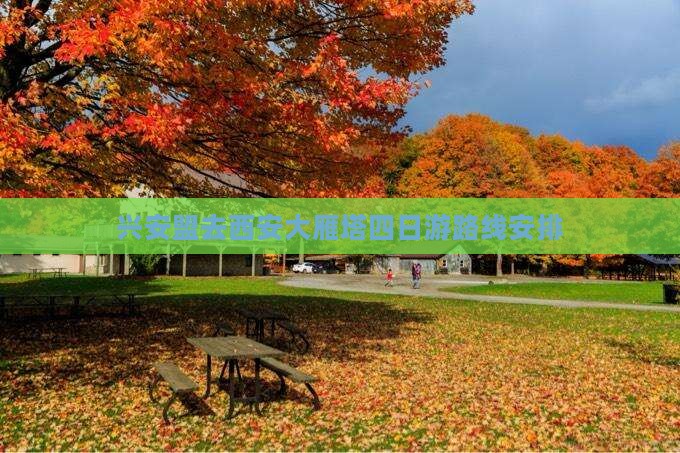 兴安盟去西安大雁塔四日游