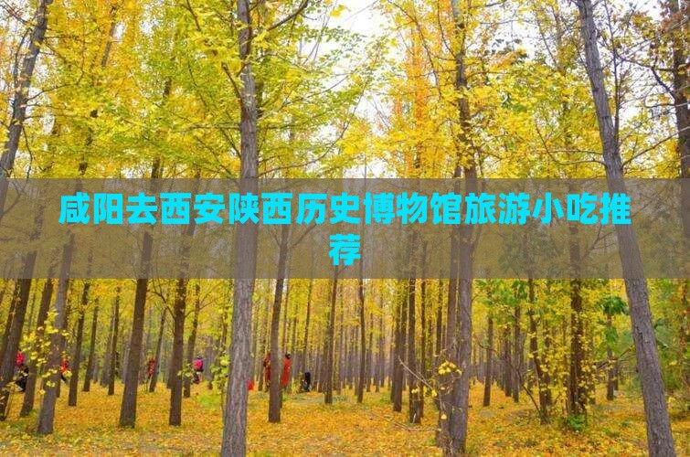 咸阳去西安陕西历史博物馆旅游小吃