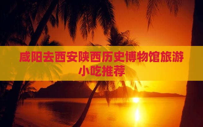 咸阳去西安陕西历史博物馆旅游小吃