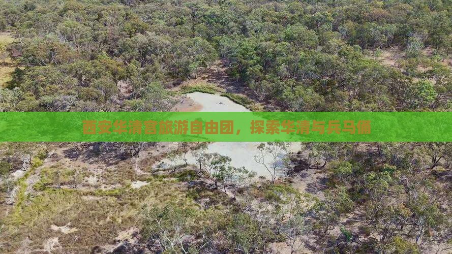 榆林到西安华清宫自由团