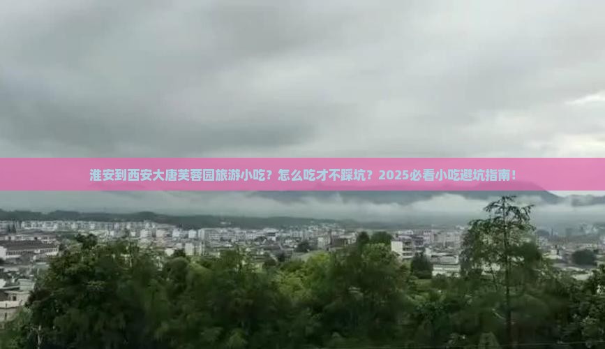 淮安到西安大唐芙蓉园旅游小吃