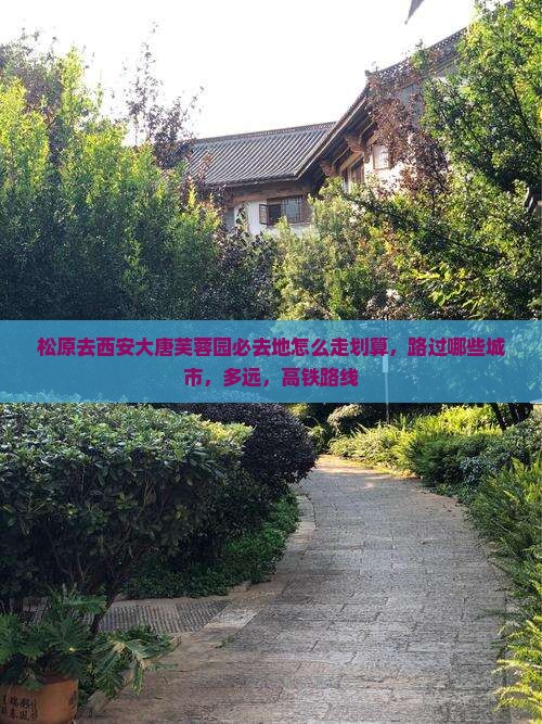 松原去西安大唐芙蓉园必去地