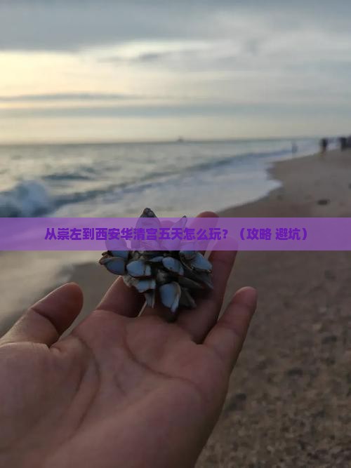 崇左到西安华清宫五日游