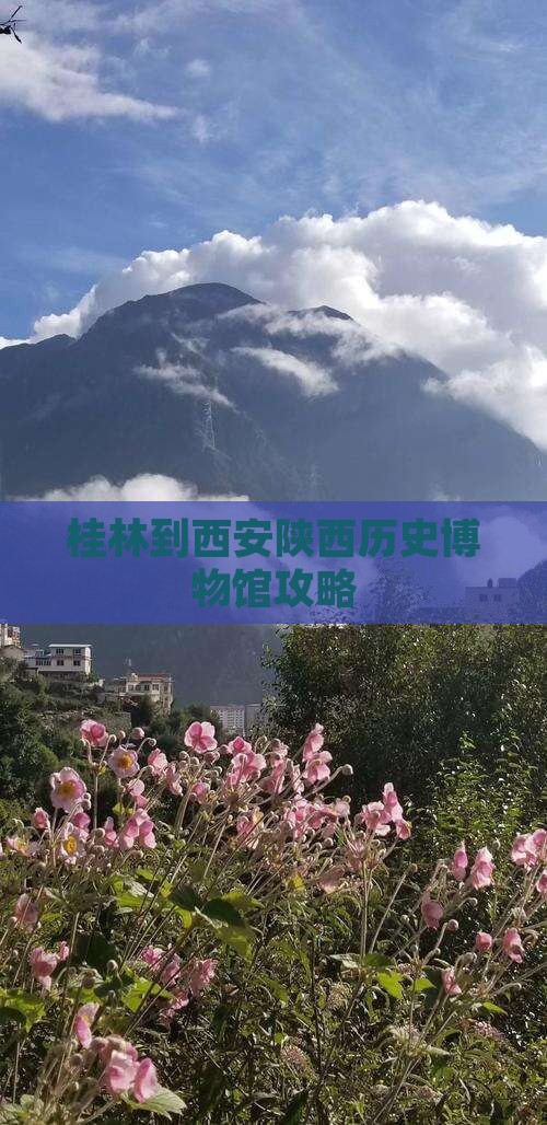 桂林到西安陕西历史博物馆自由团
