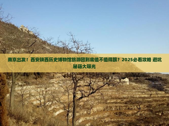 南京到西安陕西历史博物馆大型旅游团