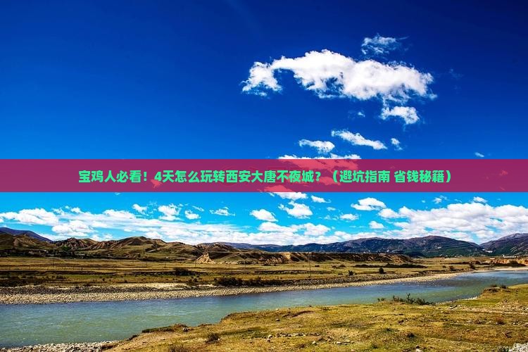 宝鸡到西安大唐不夜城四日游