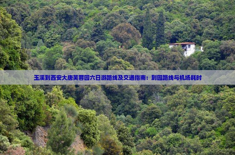 玉溪到西安大唐芙蓉园六日游