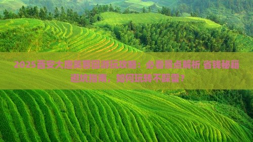 白银去西安大唐芙蓉园哪里玩