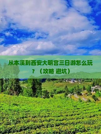 本溪到西安大明宫国家遗址公园三日游