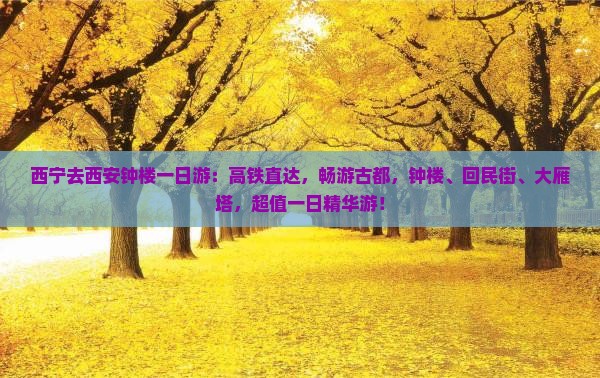 西宁去西安钟楼一日游
