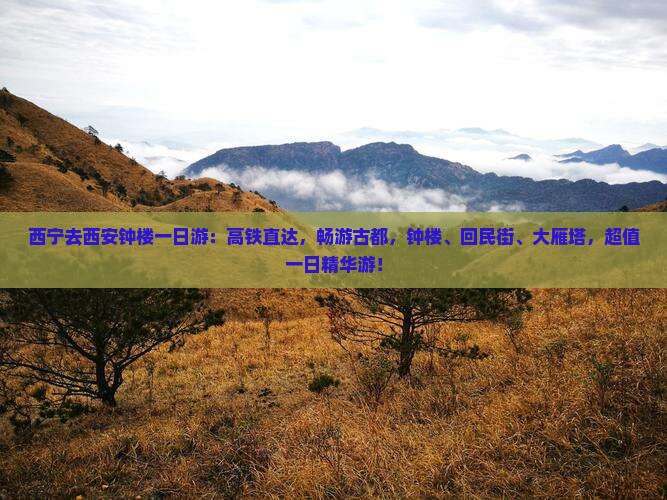 西宁去西安钟楼一日游