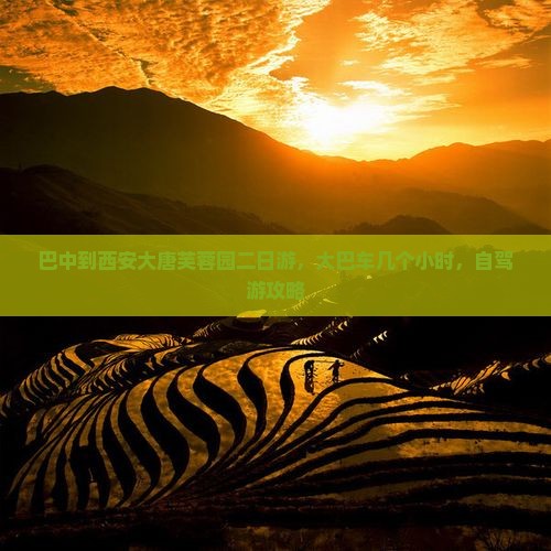 巴中到西安大唐芙蓉园二日游