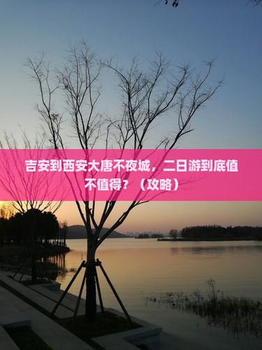 吉安到西安大唐不夜城二日游
