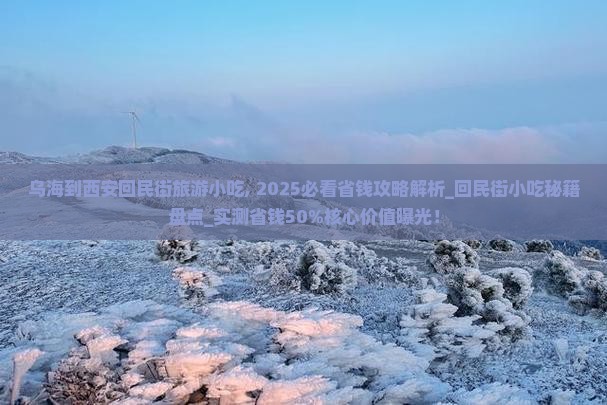 乌海到西安回民街旅游小吃
