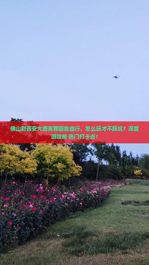 佛山到西安大唐芙蓉园自由行