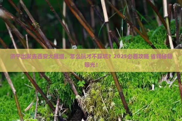 济宁去西安大雁塔攻略