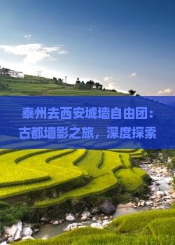 泰州去西安城墙自由团