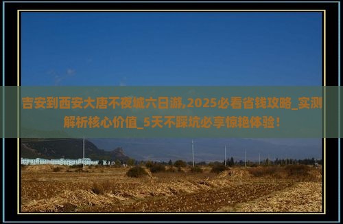 吉安到西安大唐不夜城六日游