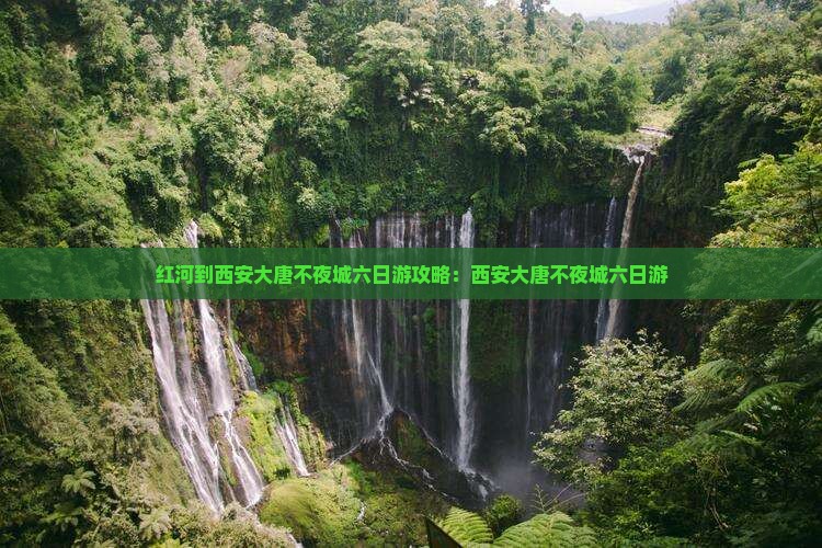 红河到西安大唐不夜城六日游