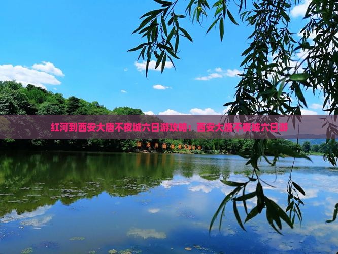 红河到西安大唐不夜城六日游