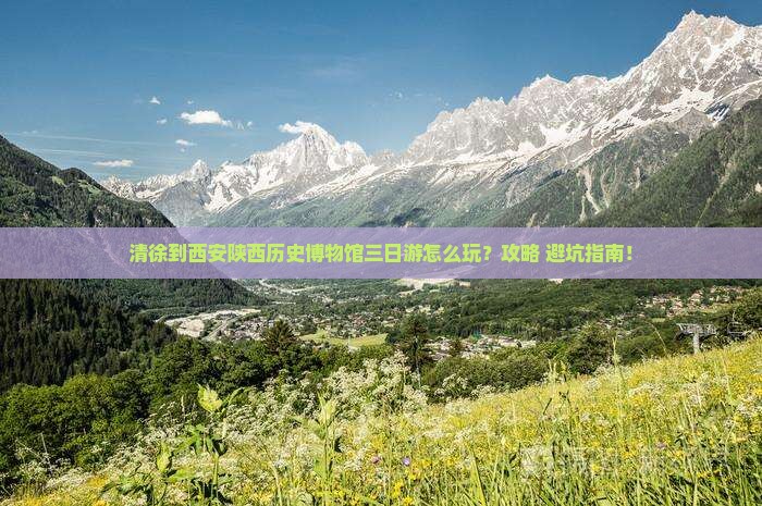 清徐到西安陕西历史博物馆三日游