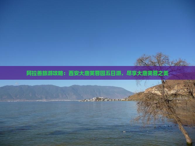 阿拉善盟到西安大唐芙蓉园五日游