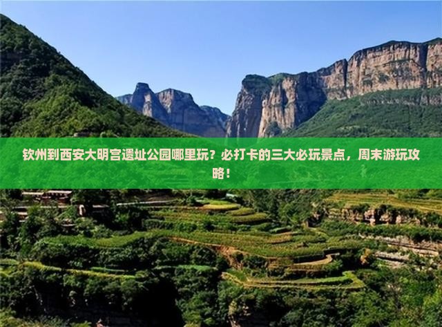 钦州到西安大明宫国家遗址公园哪里玩