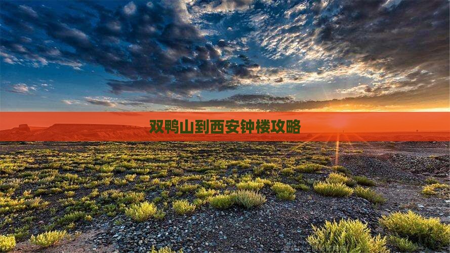 双鸭山到西安钟楼哪里玩