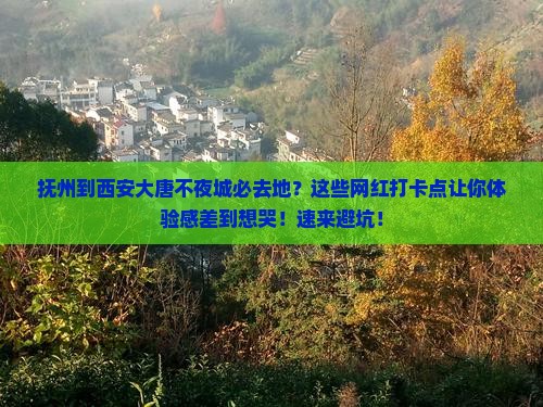 抚州到西安大唐不夜城必去地
