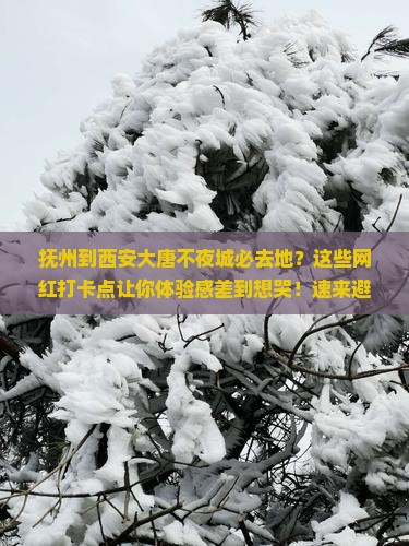 抚州到西安大唐不夜城必去地