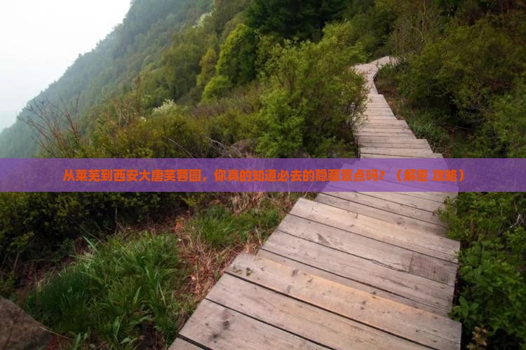 莱芜去西安大唐芙蓉园必去地