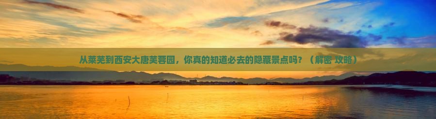 莱芜去西安大唐芙蓉园必去地