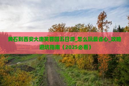 黄石到西安大唐芙蓉园五日游