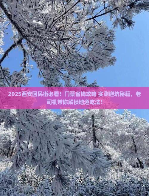 常州去西安回民街门票