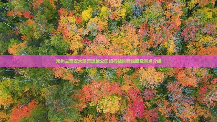常州去西安大明宫国家遗址公园旅行社