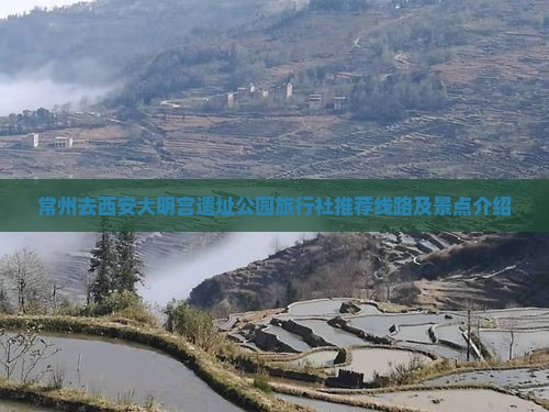 常州去西安大明宫国家遗址公园旅行社